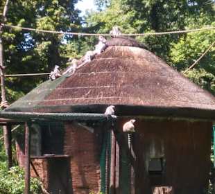 Zoo Wrocław