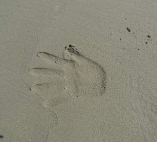 Римини, море