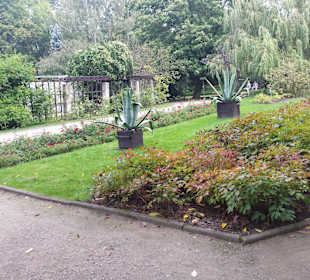Palmiarnia Park Oliwski