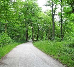 Impressionen vom Rundgang durch den Bamberger Hain
