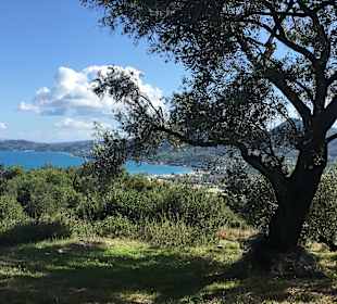 Inselrundfahrt Korfu