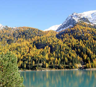 Martelltal bei Latsch