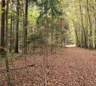 Archäologischer Wanderweg