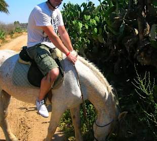 Reitausflug ins Hinterland