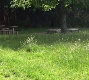 Premiumwanderweg "hochgelegen"