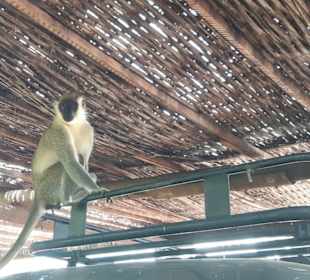 Begrüßung am Eingang