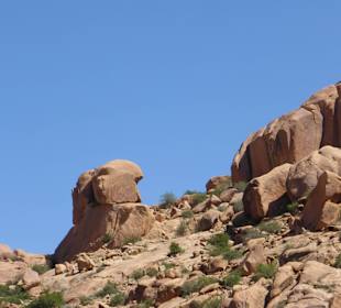 Bei Tafraoute - Köpfe ?