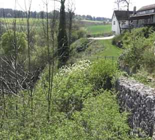 Ruine Maisenburg