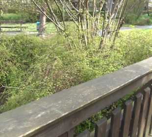 Fluss Breitenbach