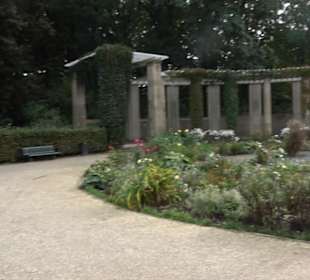 Rosengarten im Tiergarten