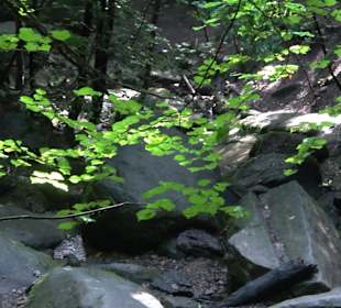 Wanderung Heslacher Wasserfälle und Heidenbrünnele