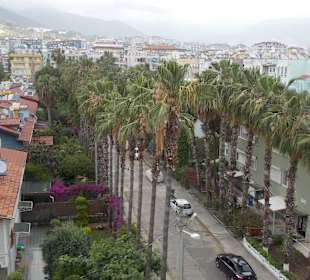 Вид из номера отеля Ананас