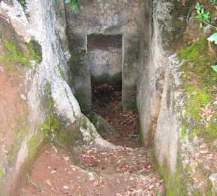 Einzelgrabkammer im Wald