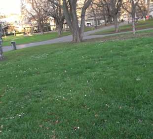 Stadtgarten Stuttgart
