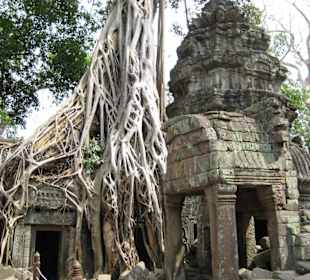 Ta Prohm