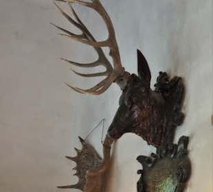 Im Rittersaal von Schloss Mespelbrunn