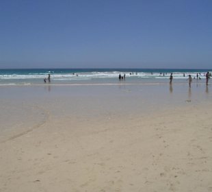 Parco naturale delle dune