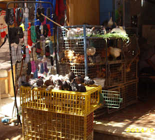 Frischer geht es nicht mehr 