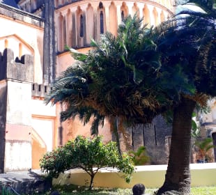 Kathedrale Christ Church