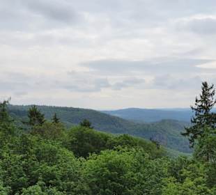 Ausblick vom Weg aus