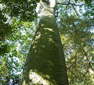 Stachlige Angelegenheit