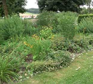 Blühendes Neresheim