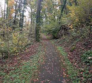 Der Weg zur bzw. durch die Schlucht beim Hotel