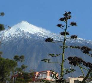 Der majestätische Teide