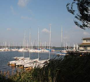 Hafen am Cospudener See