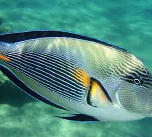 Der war ganz schön neugierig!