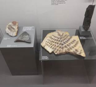 Naturkundemuseum
