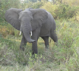 Komm mir nicht zu nah