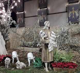 Funchal Seitenstrasse