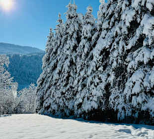 Wandern Oberstaufen