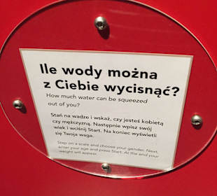 Centrum Nauki Kopernik - jeden z eksperymentów