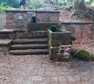 Naturbühne "Am Falkenstein" Queidersbach