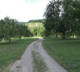 Wanderweg Ammerbucher Gigeleswegle