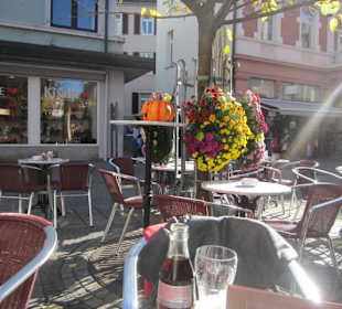 Chrysanthema Lahr