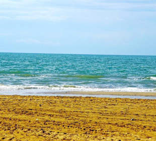 Strand Bibione 06_2011