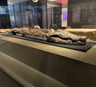 The Grand Egyptian Museum