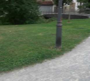 Gänswiese