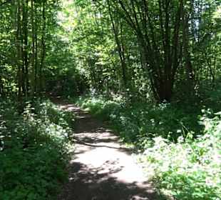 Wanderweg Sieben-Täler-Runde 