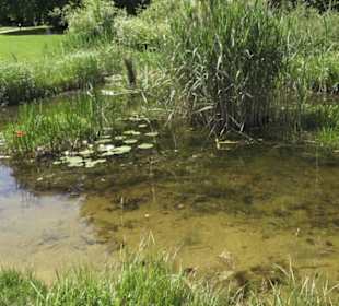 Botanischer Garten der Universität Zürich