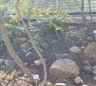 Botanischer Garten 