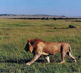 Na, dann wollen wir doch mal schauen...