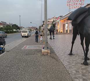 Stadtrundgang Evrenseki 