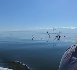Lago Enriquillo
