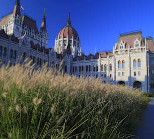 Parliament at rear view