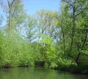 Schöne Landschaft vom Wasser her