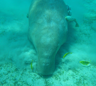 1 Stunde allein mit ihr